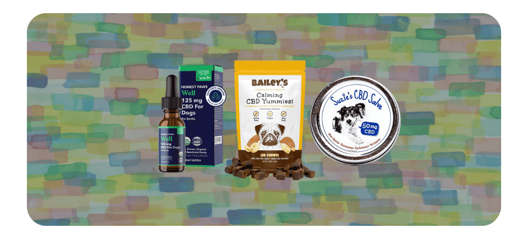 Is CBD Safe for Dogs?