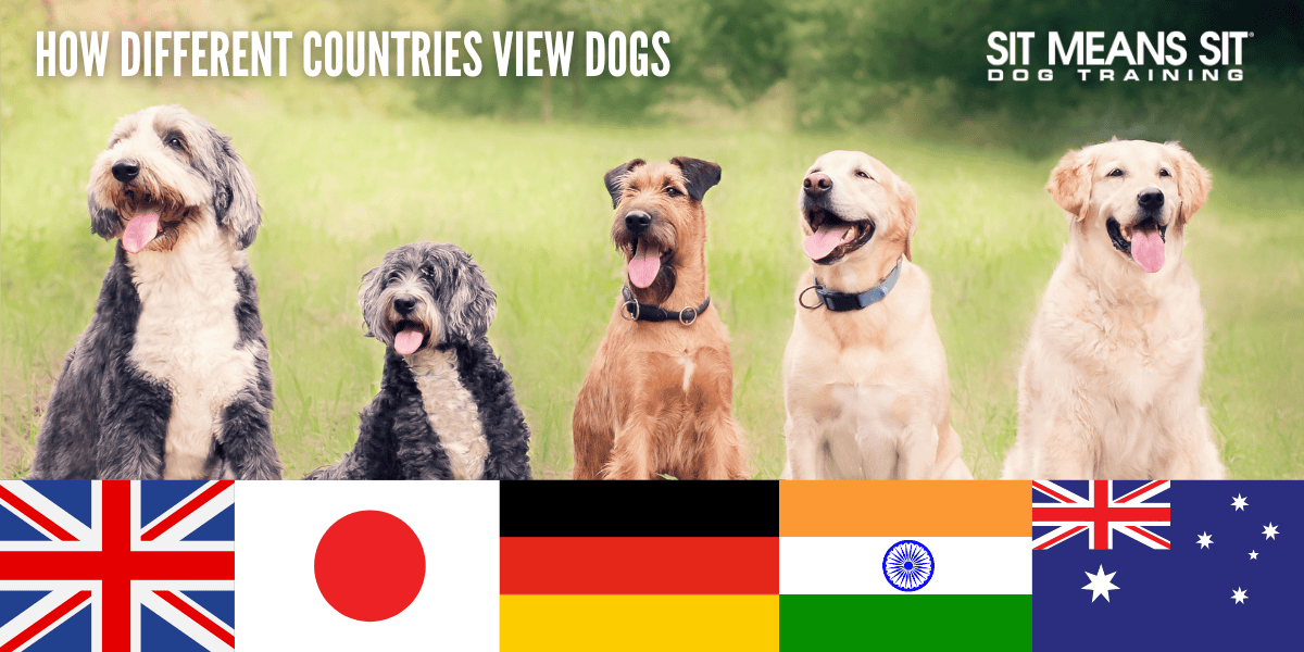 how different countries-view dogs