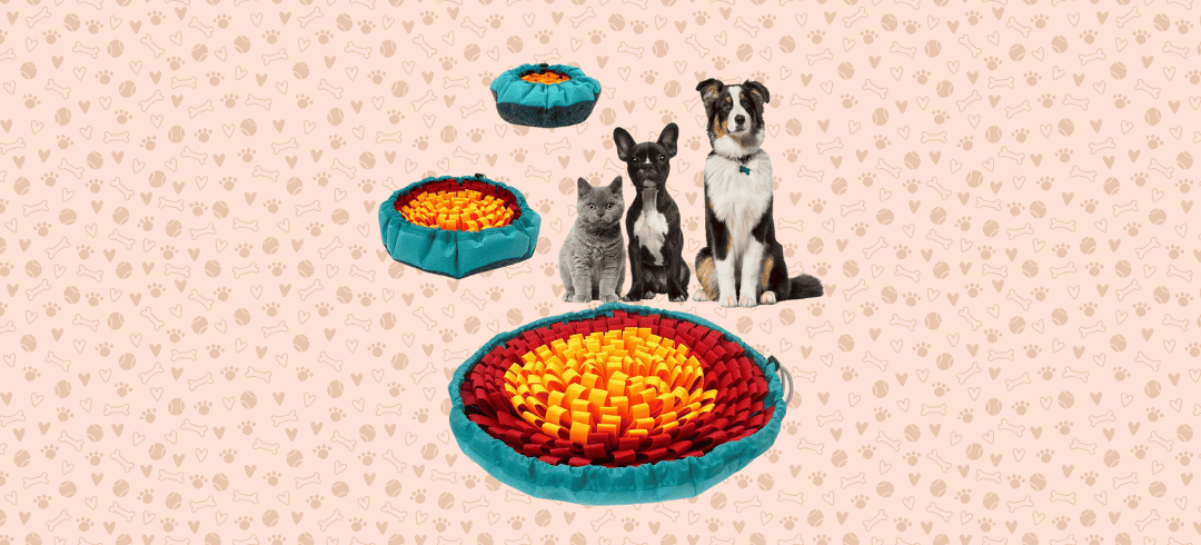 Our Top Picks for Canine Slow Feeder Bowls