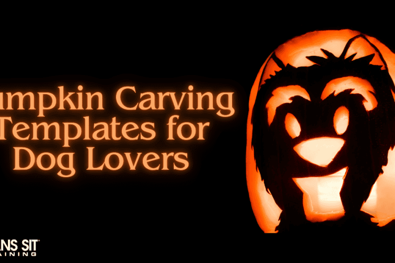 Pumpkin Carving Templates for Dog Lovers